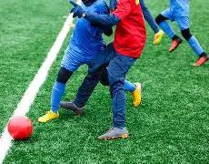 张柏芝透露,儿子倾心女,寻求指导恋,PG,PG平台,PG官网,PG模拟器在线试玩