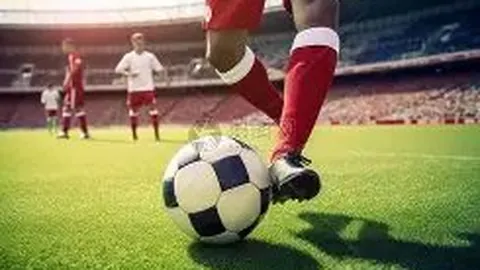 PG电子 资讯 140635 dj9