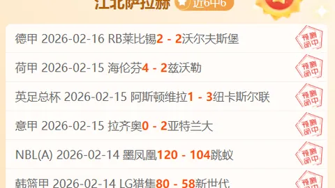 德篮甲特里尔角斗士VS路德维希堡：近4胜3期专家质合推荐